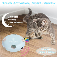 Scsuupoee Interactive Cat Toy concealed feathers reveal exciting chase during play.
