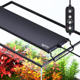 seaoura 24/7 mode LED aquarium light shows sunrise cycle for plant-friendly lighting