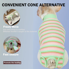 Sebidtco cone-alternative recovery suit provides cozy healing without a cone.
