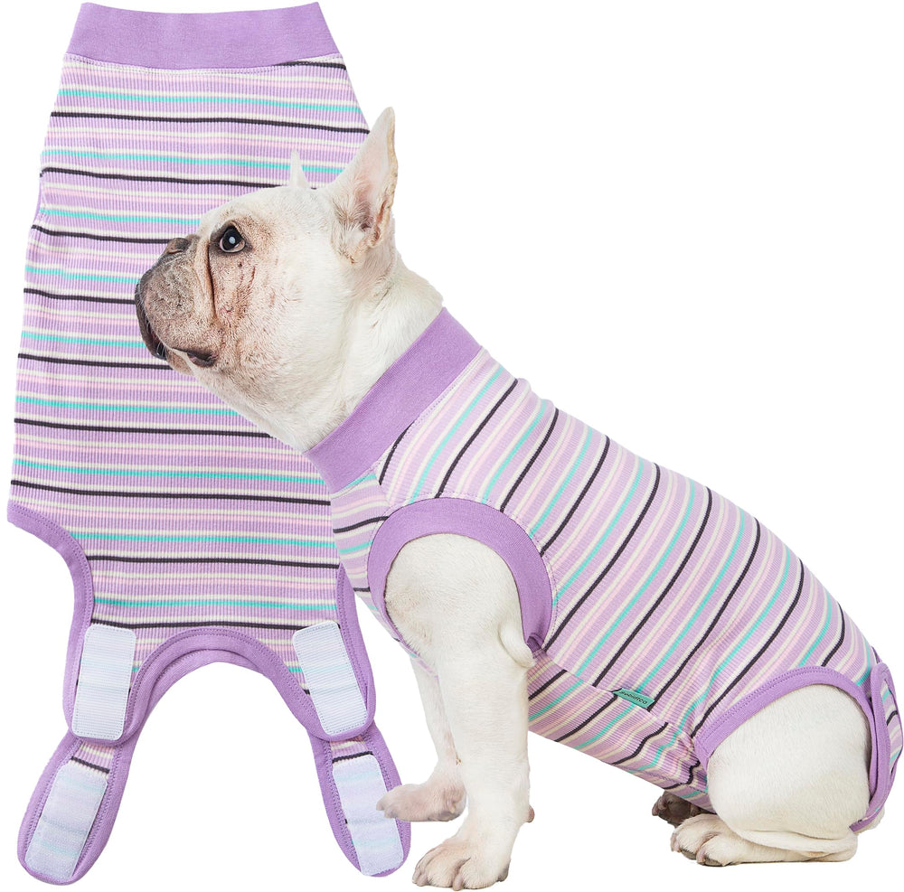 Sebidtco recovery suit for dogs front view protects stitches during healing.