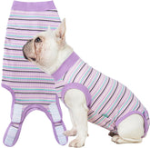 Sebidtco recovery suit for dogs front view protects stitches during healing.