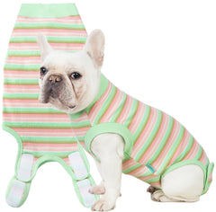 Sebidtco recovery suit for dogs front view shows soft, protective post-surgery coverage.
