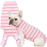 Sebidtco recovery suit for dogs provides full coverage and comfortable post-surgery protection