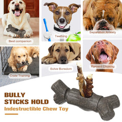 Sedioso Bully Stick Holder center insert demonstrates easy installation for quick setup.