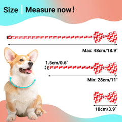 Segarty dog bow tie colorful design boosts pet photo appeal at events
