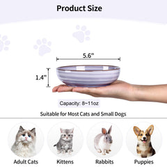 Selamica cat bowls colorful-exterior showcase vibrant exterior colors that brighten feeding time.