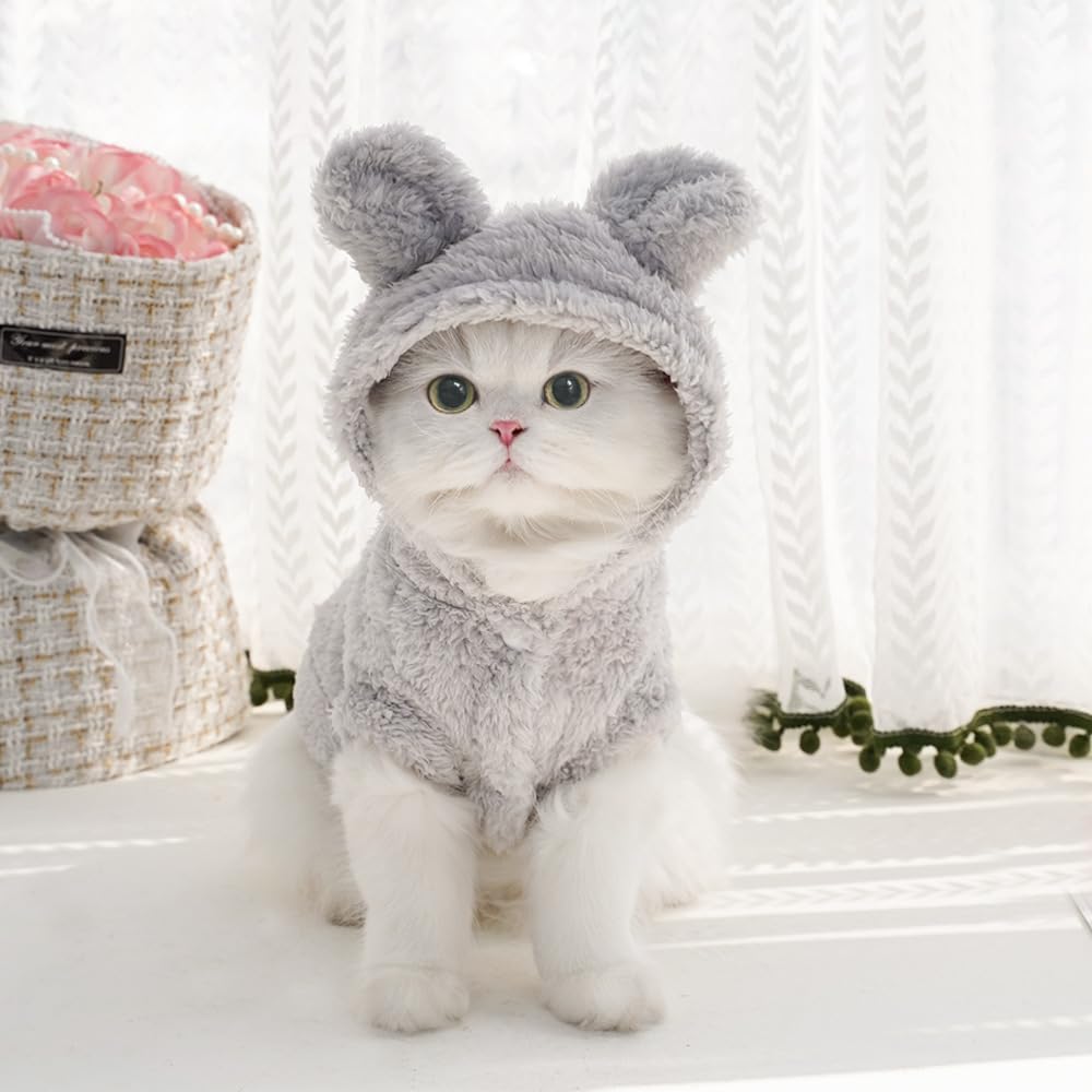 Selena cat bunny ears costume front view on small pet in gray, cute winter outfit