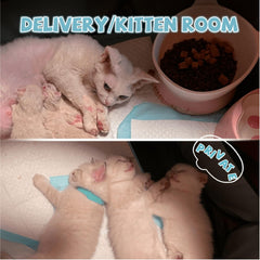 Cat and small-dog playpen top view showing spacious interior.