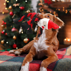 Senneny Santa plush dog toy close-up of the handmade embroidery