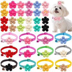 Senniea pink dog flower collar and bows for stylish daily wear.