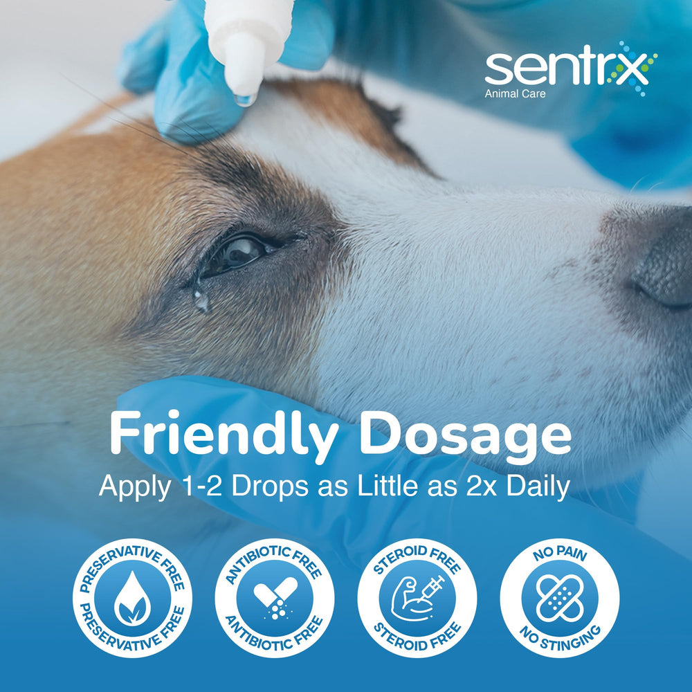 Sentrx Eye Lube Pro being applied safely near a pet's eye