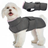 SeranPup gray dog coat back leash hole enables easy leash access during walks.