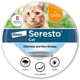 Seresto Cat collar on cat for eight-month flea protection.