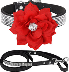 Serijoars rhinestone collar close up on Black2 for stylish daily wear
