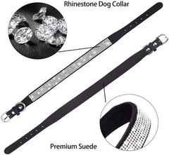 Serijoars dog collar worn on a puppy demonstrates adjustable fit for daily use