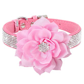 Serijoars rhinestone dog collar pink closeup highlight sparkling style for festive outings.