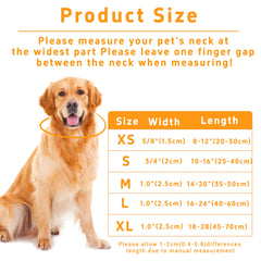 Seyezo adjustable buckle dog collar demonstrating easy on-off and secure fit