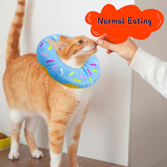 Seyezo cat cone blue donut close-up stitching, durable and gentle.