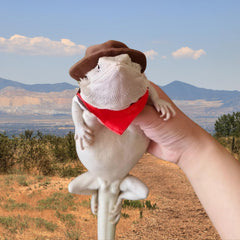 SEZDEKI Red bandana close-up—soft cotton for skin-friendly, cozy appearance.