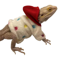 SEZDEKI bearded dragon hoodie size guide shows chest and back fit