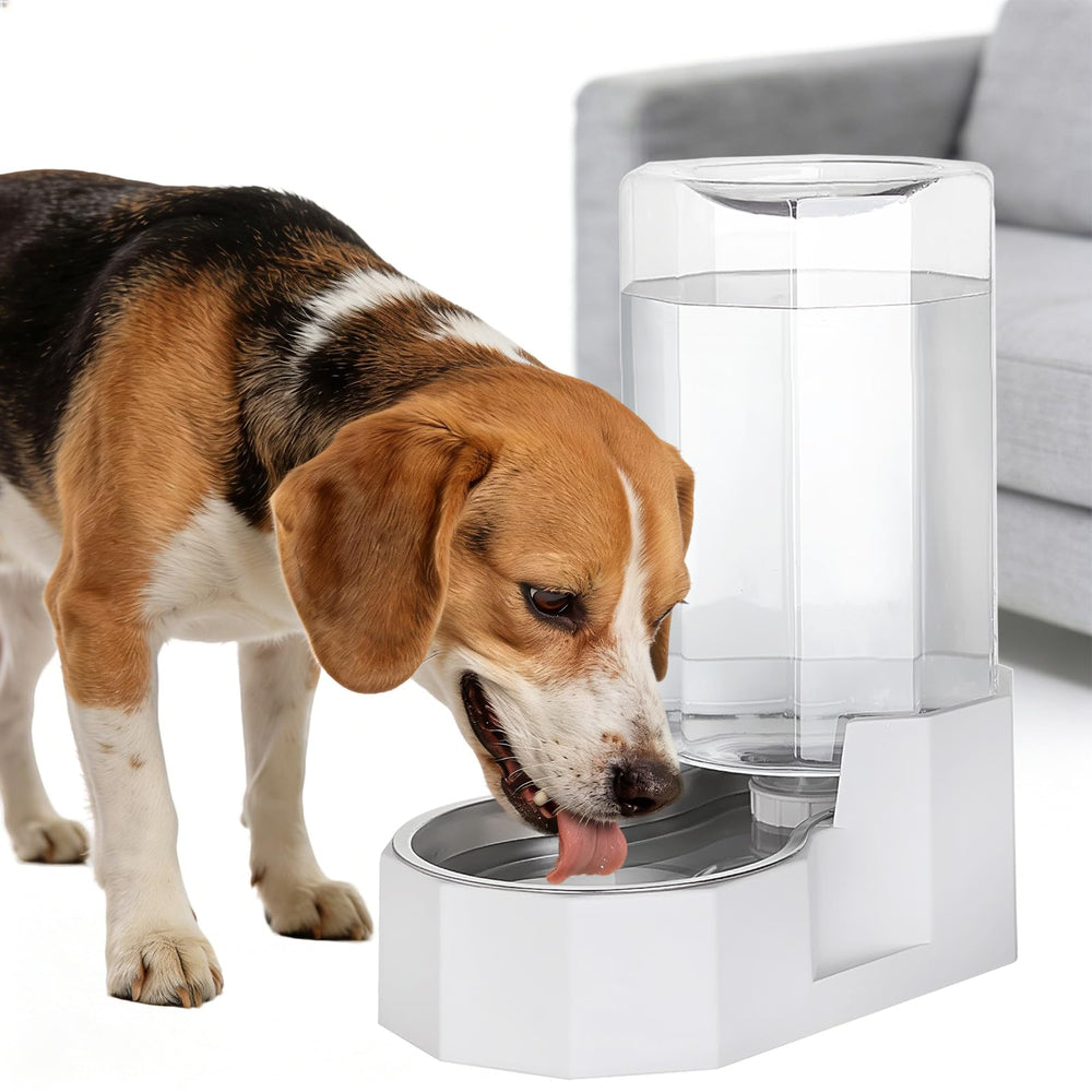 Sfozstra 8L automatic water dispenser shows large capacity for steady hydration.