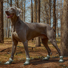 SGSPET dog shoes reflective strips enhance nighttime visibility during walks.