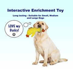 SHAGGYTAILVILLAGE Squeaky Duck Toy with embroidered eyes attracts dogs during training.