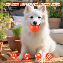 Shakyball dog toy in action shows rolling and vibrating play for interactive sessions.