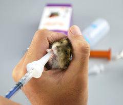 SHAOTONG puppy bottle variants show small to large nipples for pets.