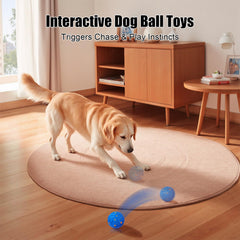 Shapana dog ball in action with three modes for varied energy play.