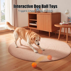 Shapana Interactive Dog Ball three-modes shows customized stimulation for different energy levels.