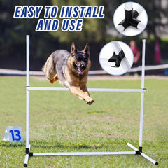 Shappy ABS plastic dog agility bar ensures sturdy, safe sessions.