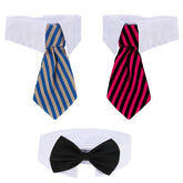 Shappy bow-tie pack worn by pets adds stylish grooming for outings and photos.