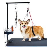 SHELANDY pet grooming arm extended to 35 inches for versatile dog grooming.