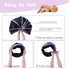 Skylight-entry view showing multiple access points for pets.