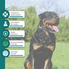 Close-up of ShengKou collar texture highlighting citronella-based formula