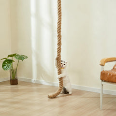 SHENGOCASE ceiling mount kit installation shows safe screws to anchor the rope.