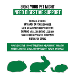 Sherwood Pet Health digestive papaya tablets closeup highlighting natural enzymes from fruit.