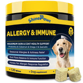 SHINEPAWS Allergy Chews bottle-front indicating immune support for dogs during allergy season.