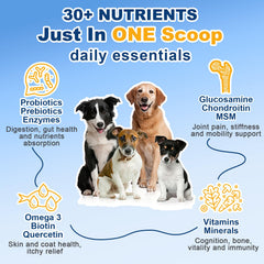 SHINEPAWS joint mobility image emphasizes glucosamine support for comfortable movement.