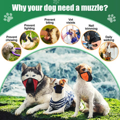 Shinylin dog muzzle adjustable buckle demonstrates safe, customized fit.