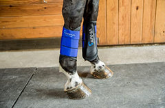 Shires ARMA Air Motion Brushing Boots Royal Small Pony interior close-up highlighting quick-dry breathable lining