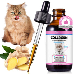 Shuangjia Collagen for Cats bottle front highlighting 2 oz size for skin and coat support