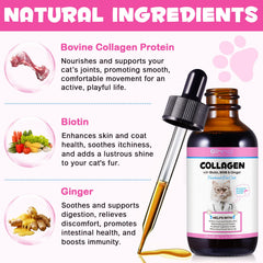 Shuangjia Collagen for Cats dropper use showing dosing for easy meals