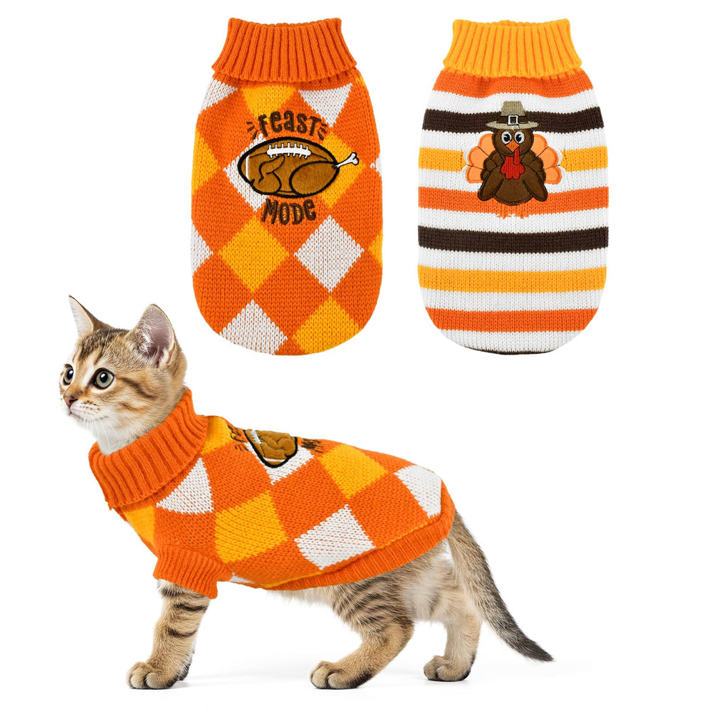 ShuRung puppy Thanksgiving sweater turkey pattern on striped knit for festive photos