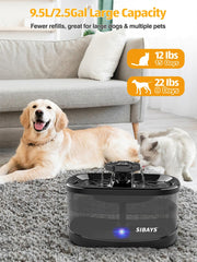 SIBAYS water-flow action captures flowing water that encourages pets to drink more often.