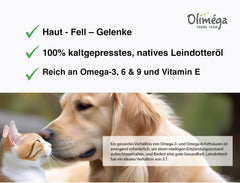 Signe Cameline camelina oil on dog coat highlights shiny fur and healthy skin.