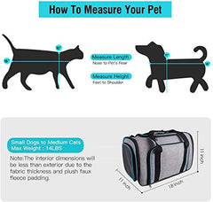 Siivton expanded interior view highlights roomy space for small pets.