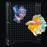 SIKGFPN acrylic fish tank divider assembly shows easy setup for 5g tanks.