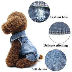 SILD blue denim dog coat for medium dogs offers daily comfort.